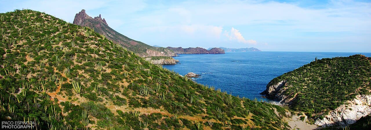 Vista panorámica de la costa de San Carlos